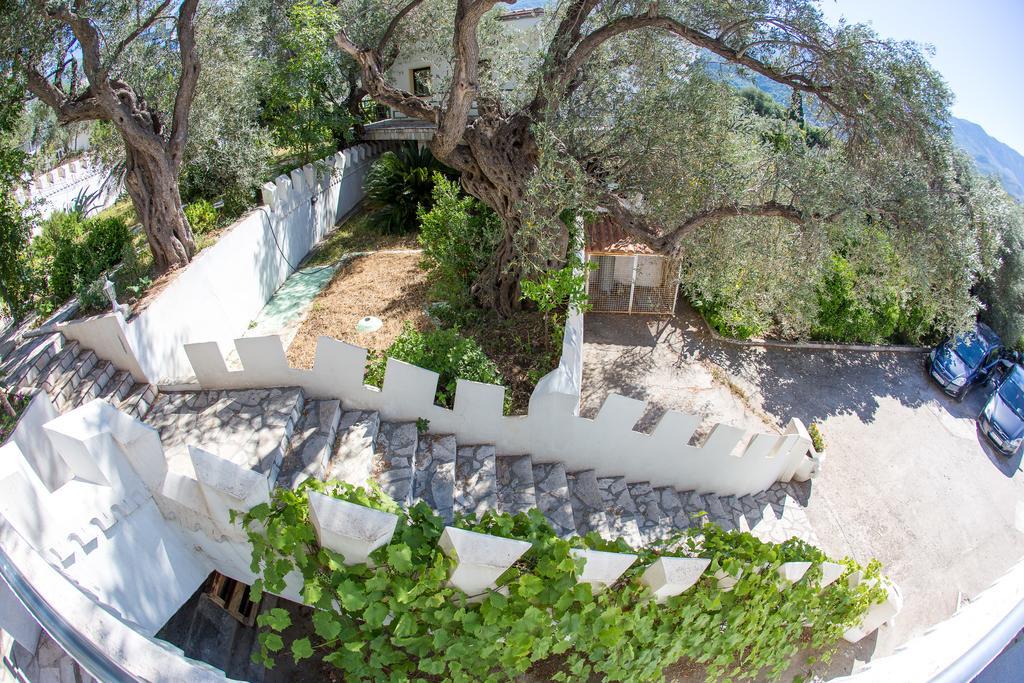 Villa The Turtles Garden Bečići Esterno foto